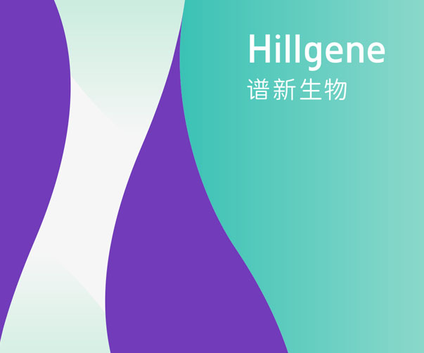 律所VI設(shè)計：塑造專業(yè)形象，提升競爭力