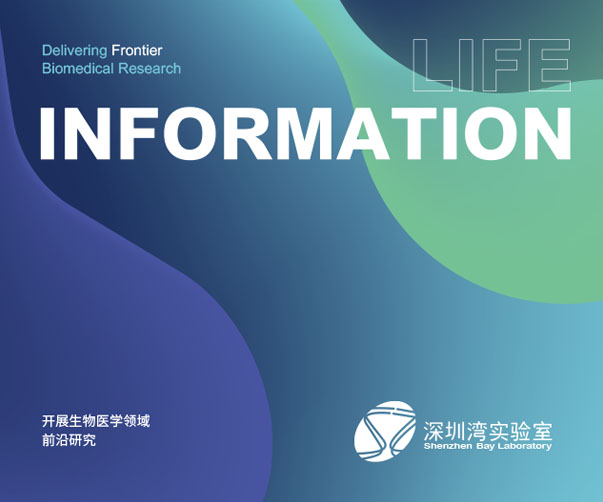 深圳實驗室vi設(shè)計